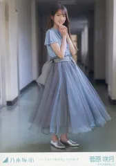 2025年最新】菅原咲月 バンドエイドの人気アイテム - メルカリ