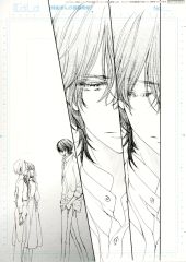 複製原画 8 ヴァンパイア騎士 樋野まつり アニメイト - メルカリ