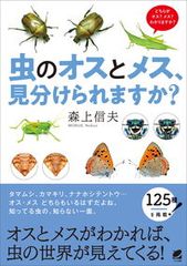 虫のオスとメス、見分けられますか？/ベレ出版/森上信夫（単行本）