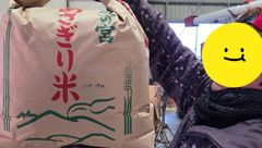 玄米】石川米(能登産コシヒカリ)30kg - 世界農業遺産の地で栽培された