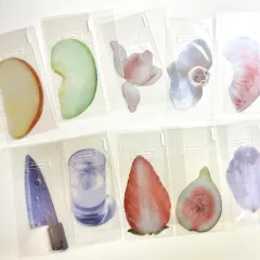 (まとめ売り) オクト しおり イ・オクト チューリップ 世紀末青リンゴ学習塾 青リンゴ 白桃 スイカ レモン イチゴ