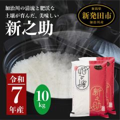 無農薬 白米10kg 兵庫県丹波産 - メルカリ