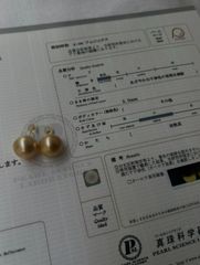 真科研フェニックス 希少 大珠白蝶真珠 16mm K18フープピアス 