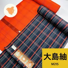 2025年最新】大島紬まとめの人気アイテム - メルカリ