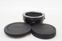 Item thumbnail for item 1b300981-97a0-432a-ac36-f5f3fd425bc7