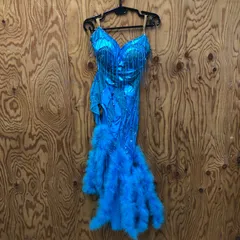 $【値下げ交渉可能】社交ダンスドレス  パーティドレス ラインストーン ブルー フリル ファー