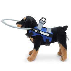 Item thumbnail for item a8260fb6-fb40-43f9-ab08-737ee6f34a52