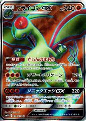 PSA10 フライゴンEX プロモ 114 ポケモンカージム XY PSA10 フライゴンEX プロモ 114 ポケモンカージム XY 【公式通販】