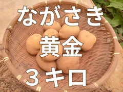 2026年最新】ながさき黄金 じゃがいもの人気アイテム - メルカリ