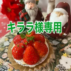 ✨キララ様専用ページ✨ミニパフェ＆タルトセット