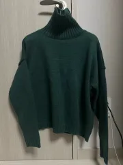緑のタートルネックニット