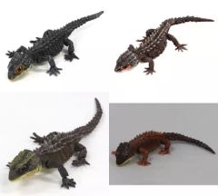 全4種】 いきもの大図鑑 アカメカブトトカゲ モトイカブトトカゲ