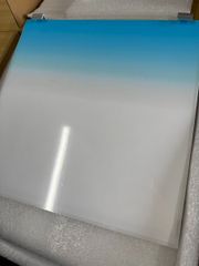 esAqua OEM 60cm水槽用 ライトスクリーン バックライト J.B. - メルカリ