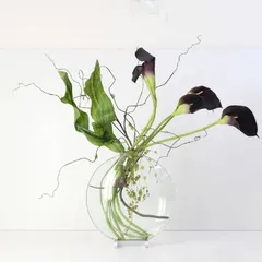 2025年最新】philippi 花瓶の人気アイテム - メルカリ