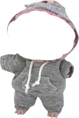 Item thumbnail for item eccede4e-e223-4ed9-91dc-754fe5527076