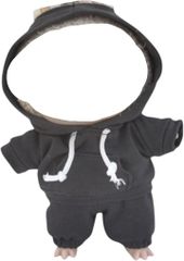 Item thumbnail for item 43ef2c22-3f26-4adb-96cb-afff54577c02