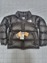 THE NORTH FACE ザノースフェイス L 1996 レトロ エコー ヌプシ ジャケット ダウン 100