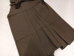 Item thumbnail for item 623c0c1c-8936-4423-be1c-a81b85caeb26