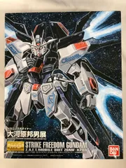 2026年最新】MG ストライクフリーダム 大河原邦男の人気アイテム