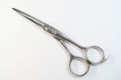 Item thumbnail for item 5e8dd837-8bbd-4360-acdb-cacbfb579b38