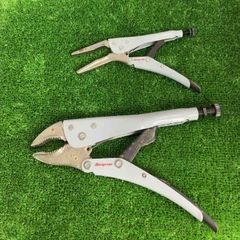 Item thumbnail for item f30a12e3-1e91-4f2f-a83d-b0ac330627e3