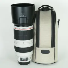 Canon　RF100-400ｍｍ F5.6-8 2025年最新】100-400 is iiの人気アイテム - メルカリ
