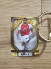 2025年最新】ティエリ アンリの人気アイテム - メルカリ