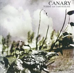 Toshi シングル＆アルバム まとめ サイン入り含 廃盤 レア 2026年最新