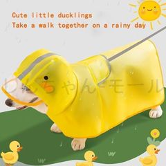 Item thumbnail for item ca0bca89-aade-4691-ae04-53ba72901a30