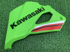 KLX250 外装セットLX250S FIモデル用林道、塗装用ベースなどに - メルカリ