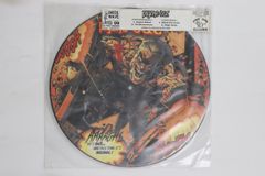 SUBLIME ピクチャーディスク レコード レア盤 サブライム 限定 lp