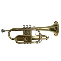 Item thumbnail for item 23713344-cbfd-4814-95d5-c6e861f05d2c