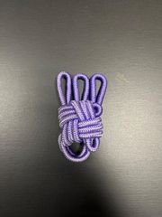 Item thumbnail for item b272f69e-3d0a-4240-b97c-b3c8dfb5df35