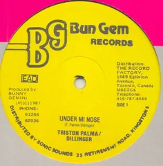 加12” Tristan Palmer & Dillinger / T Under Mi Nose / Too Bad For Me BG008 Bun Gem Records /00250