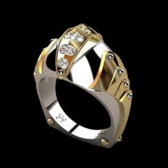 Item thumbnail for item 52b386f2-162a-48a6-85ce-e217121d6863