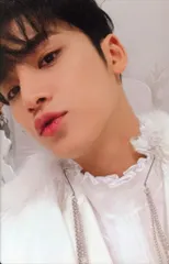 SEVENTEEN 初回限定映像盤 MINGYU あいのちから