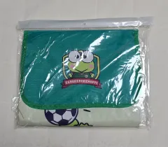 大田ハナシチズン Sanrio ピクニック マット