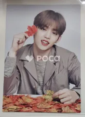 Seventeen エスクプス セブチ SEVENTEEN WORLD TOUR ODE TO YOU IN JAPAN TRADING CARD