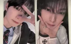 ディリバードコリア