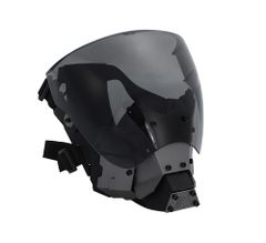 Item thumbnail for item 012a50aa-bd40-45bc-840d-4582ce340b26