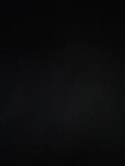 本 出品 コメント