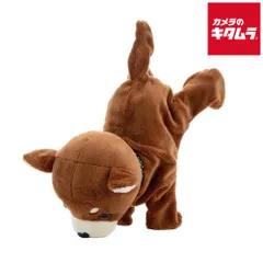 【新品】セガフェイブ ココさかだちして Premium チワワ