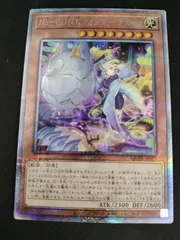 2025年最新】No－P.U.N.K.フォクシー・チューン 25thの人気