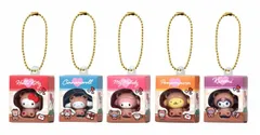 サンリオキャラクターズ ミニチュアパッケージコレクション 全5種セット BANDAI コンプリート