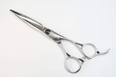 2026年最新】ヘヴンスシザーの人気アイテム - メルカリ