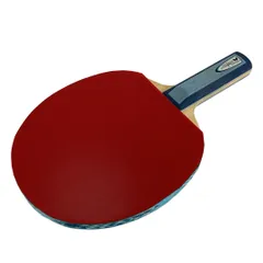 BUTTERFLY INNERFORCE LAYER ALC Tigaケース付き ラケット 卓球 中古 良好 Y10712107