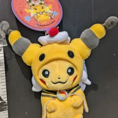 2025年最新】メガデンリュウのポンチョを着たピカチュウの人気アイテム