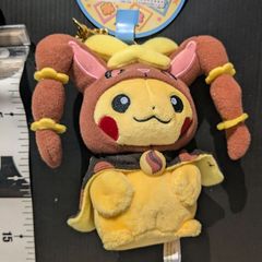 メガデンリュウのポンチョを着たピカチュウのぬいぐるみ #ピカチュウ