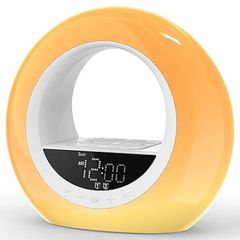 Item thumbnail for item 5fc01f07-8f06-4e83-886f-c24ce4ed2952