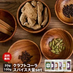 クラフトコーラ 大量スパイスセット 【送料無料 レシピ付】チャック付袋入り 梅シロップ レモネード 作りにも！